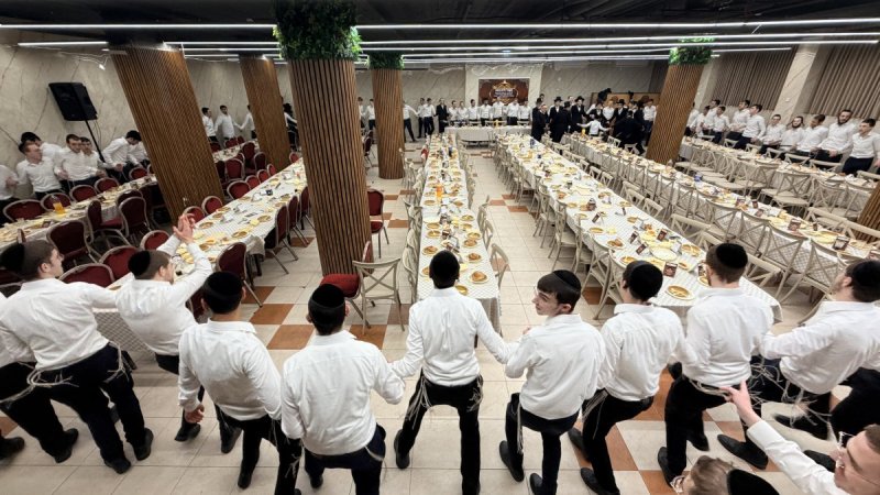 אלעזר פיינשטיין