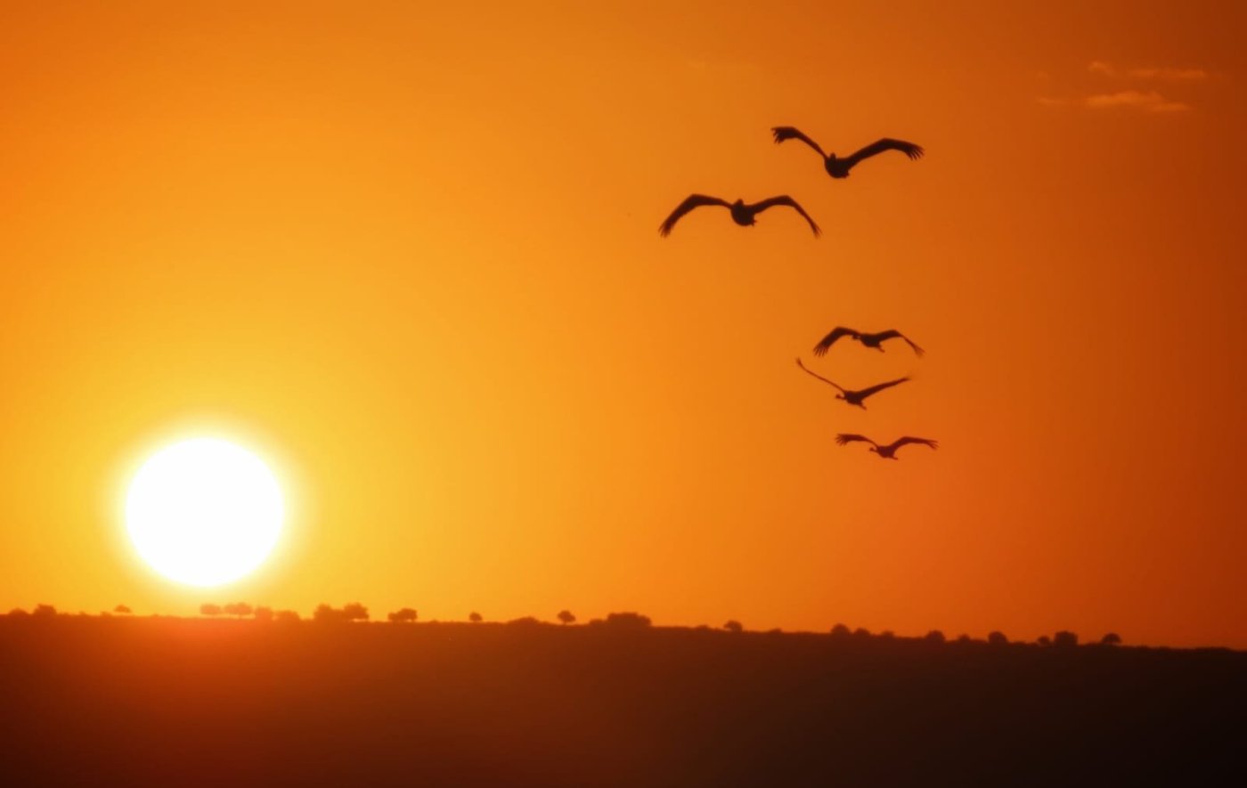 עינבר שלומית רובין, אגמון החולה, קק"ל.