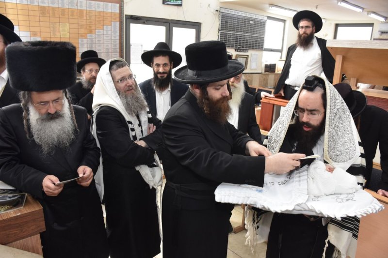 יהודה פרקוביץ