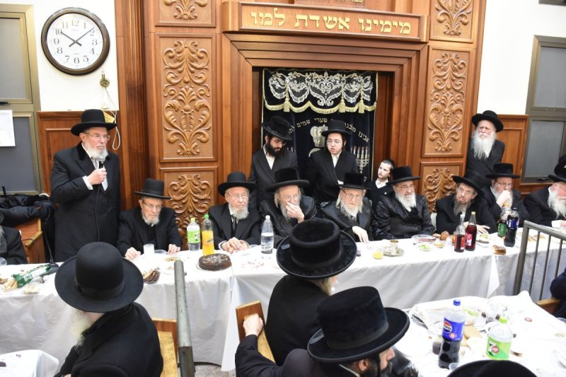 יהודה פרקוביץ