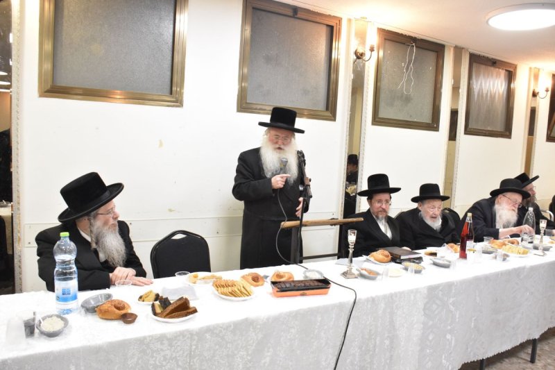 יהודה פרקוביץ