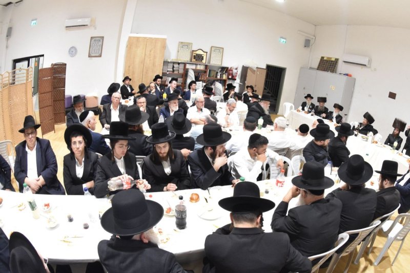 יהודה פרקוביץ