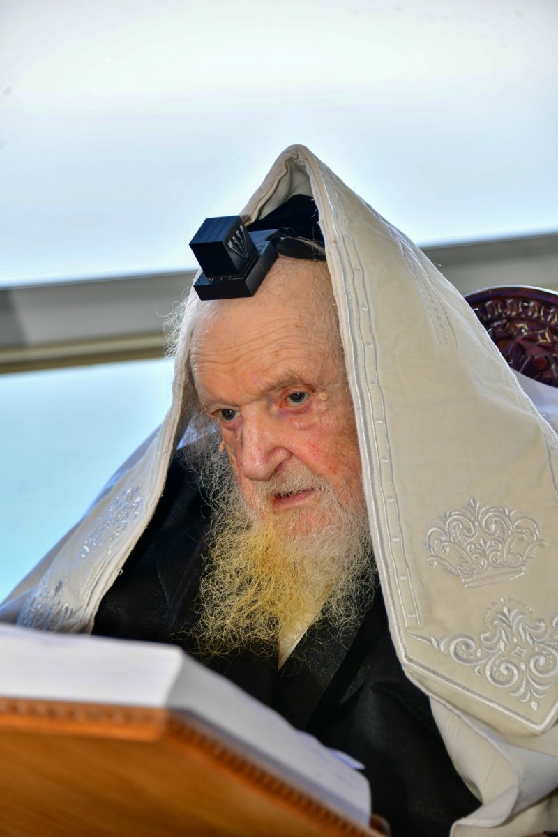 שוקי לרר