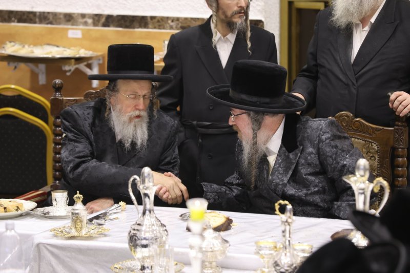 נתי אמרגי