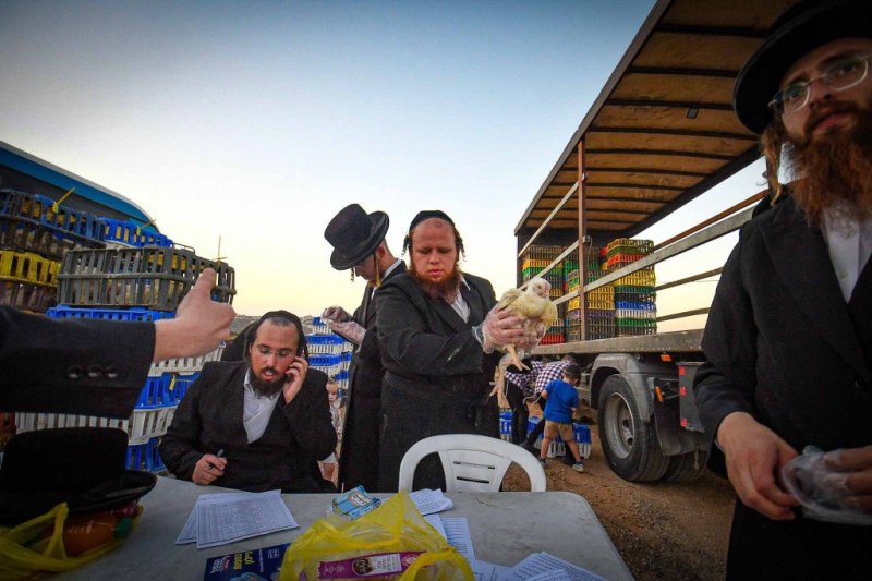ארי קופרשטוק