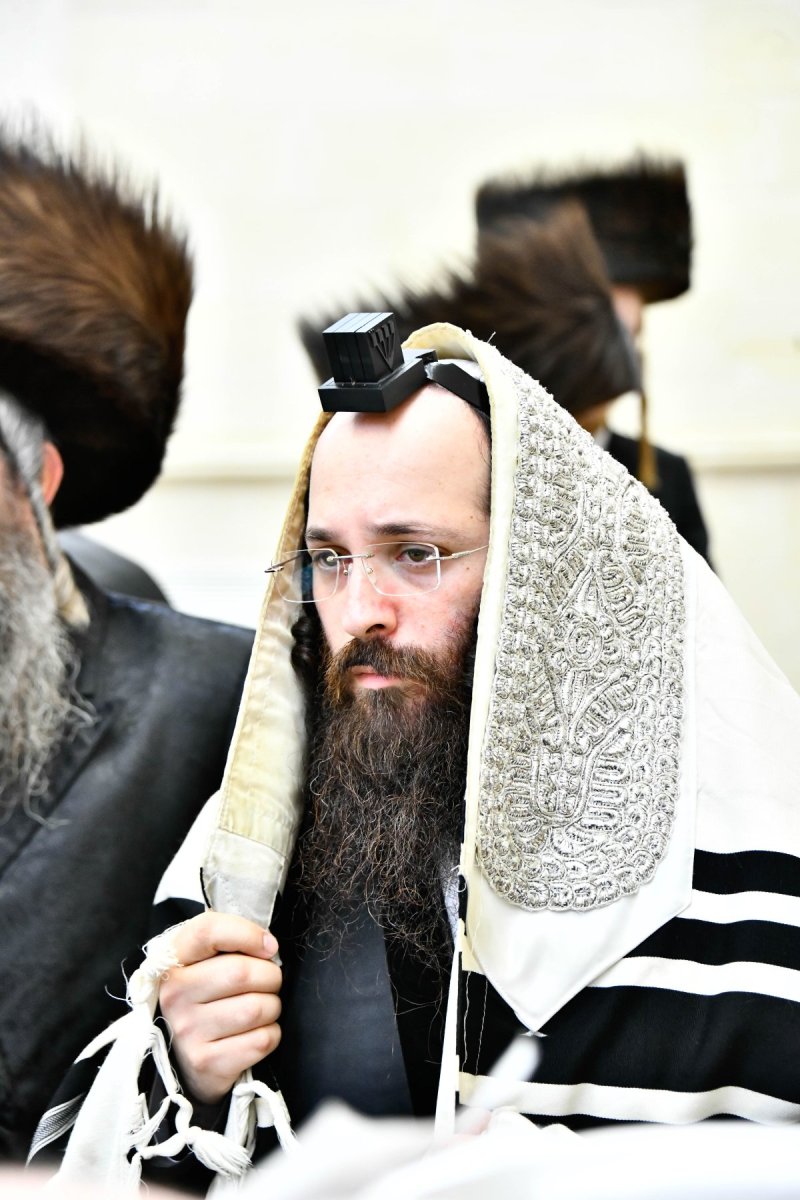 שוקי לרר