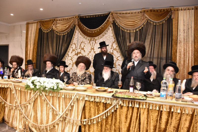 יהודה פרקוביץ