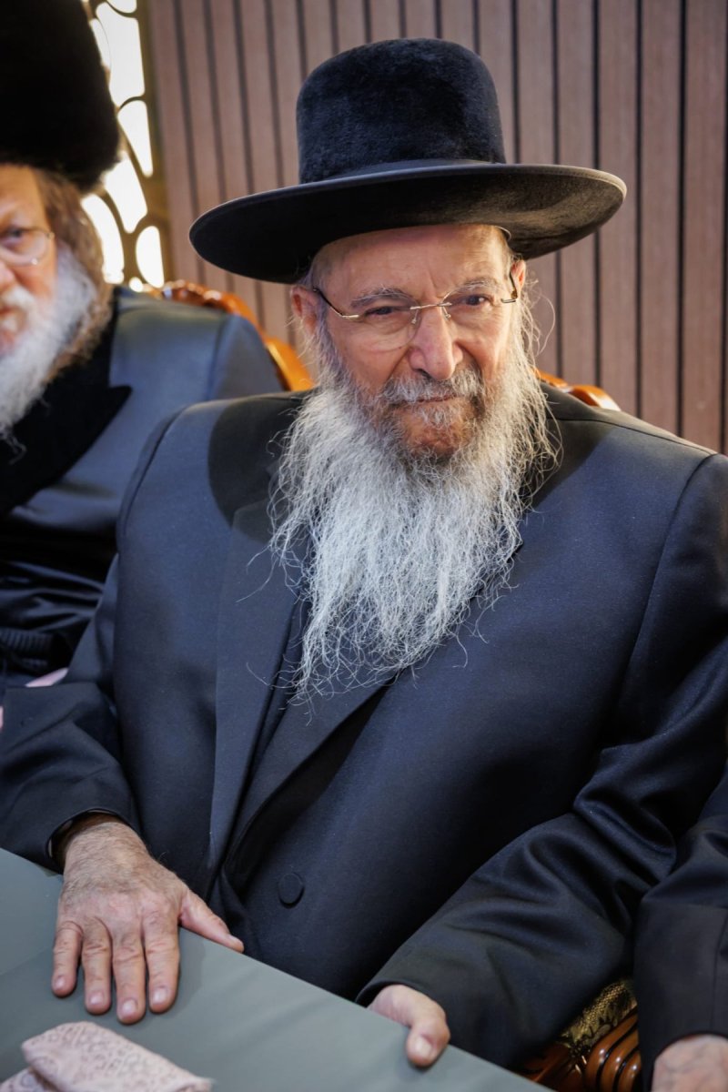 דניאל נפוסי ומאיר זלזניק