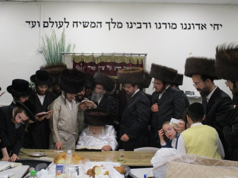 באדיבות המצלם