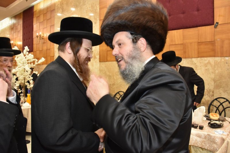 יהודה פרקוביץ