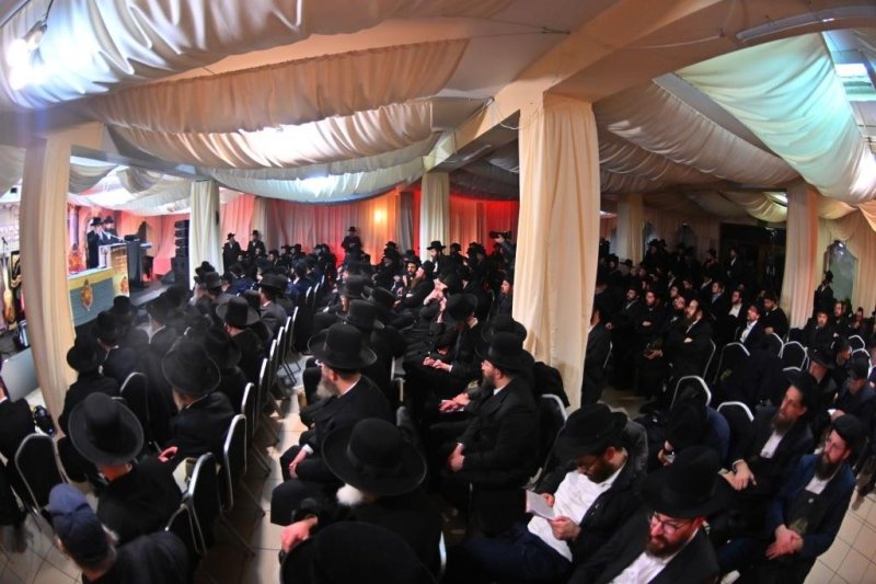 יהושע פרוכטר