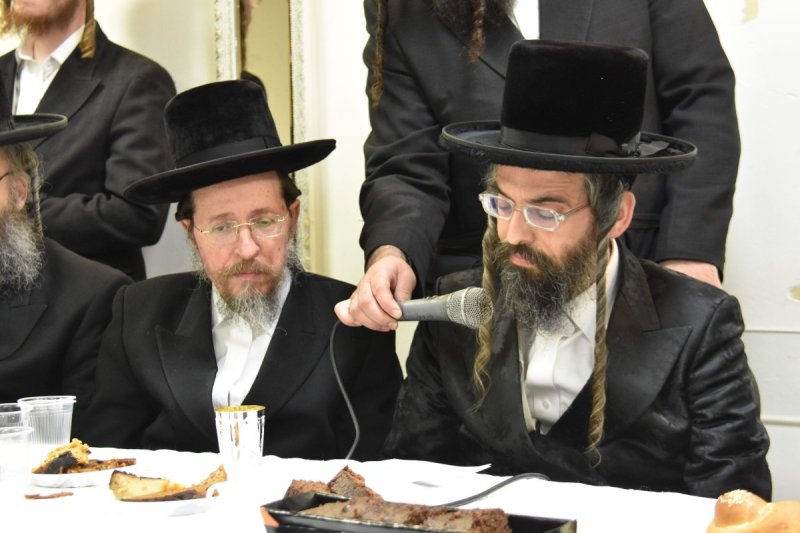 יהודה פרקוביץ