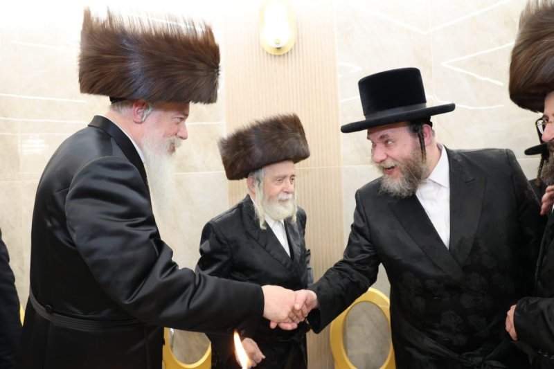 שלומי טריכטר