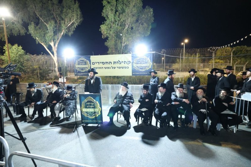 קובי הר צבי