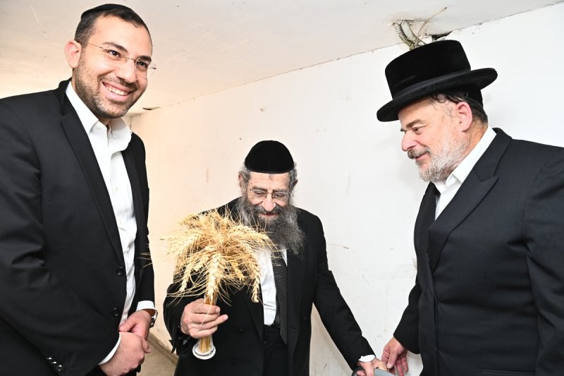 שוקי לרר