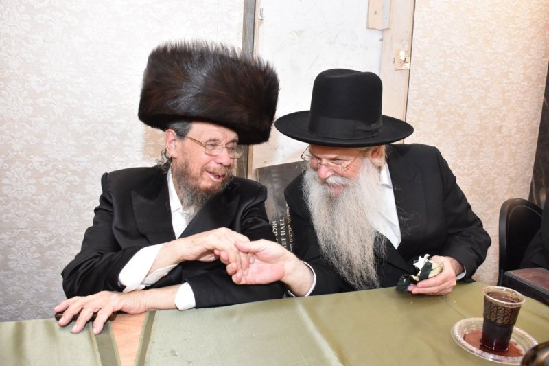 יהודה פרקוביץ