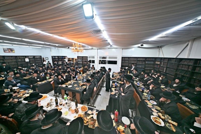 יהושע פרוכטר