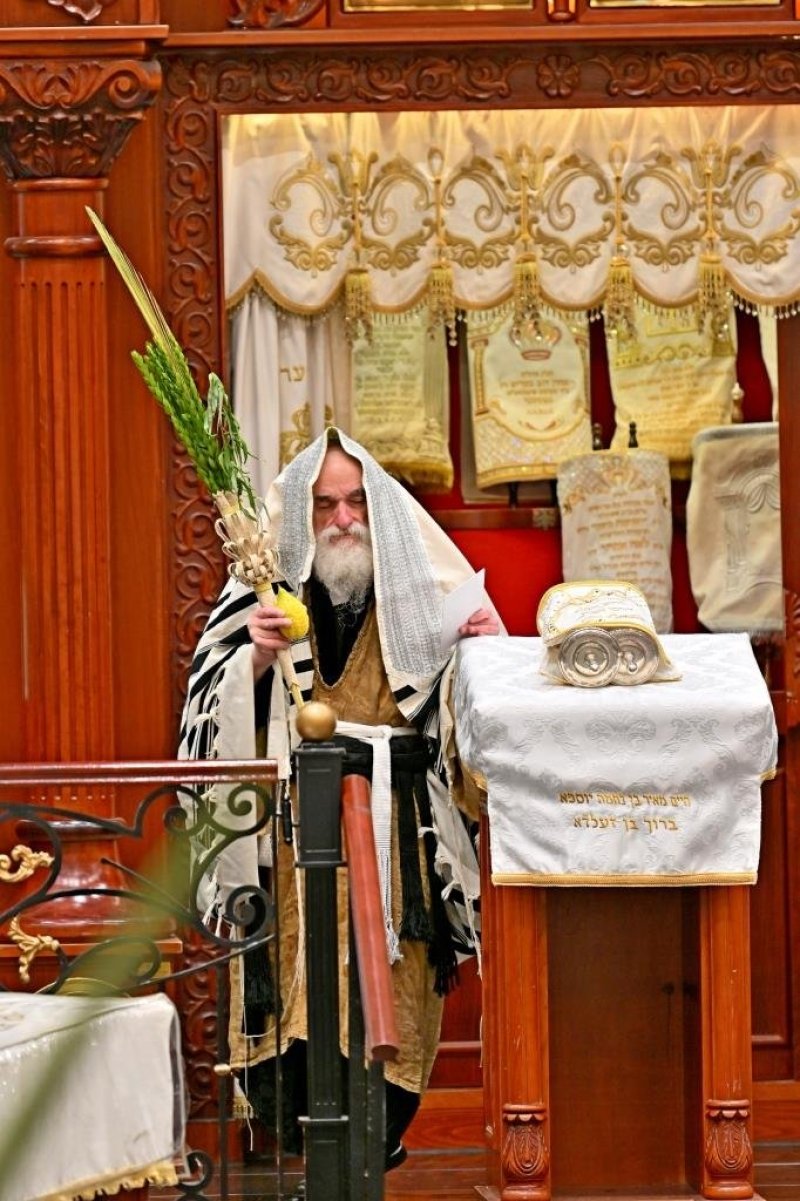 יהושע פרוכטר