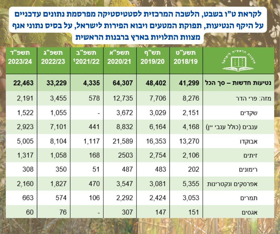 הרבנות הראשית
