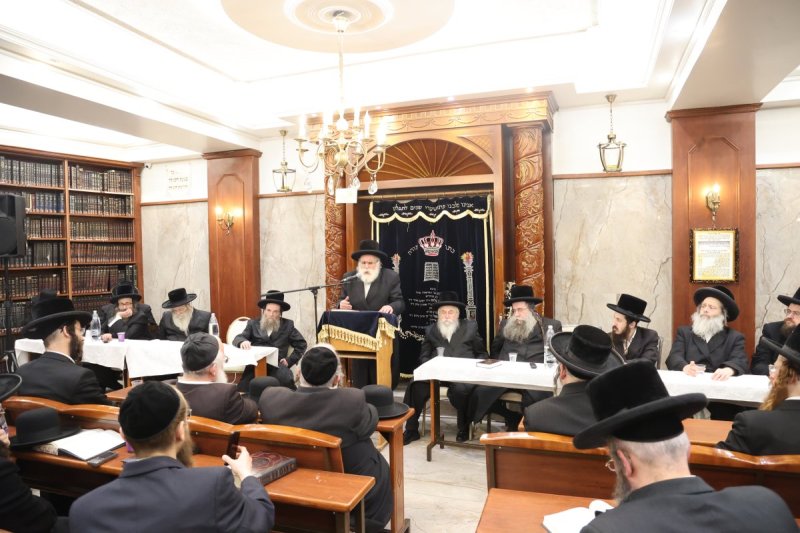 שלומי טריכטר