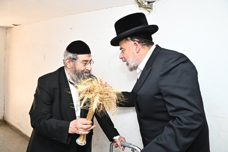 שוקי לרר