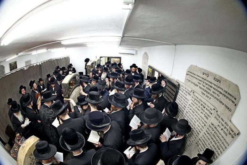 יהושע פרוכטר