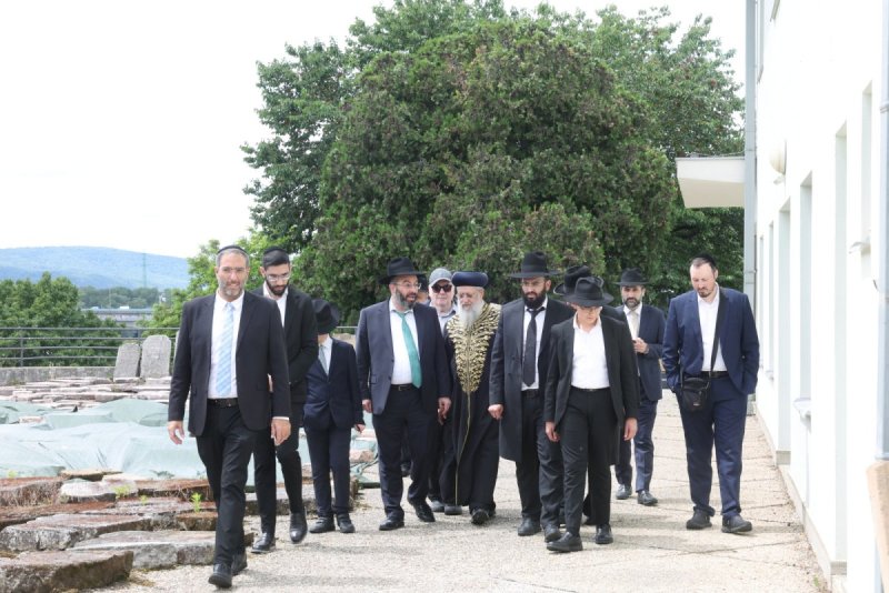 יעקב כהן