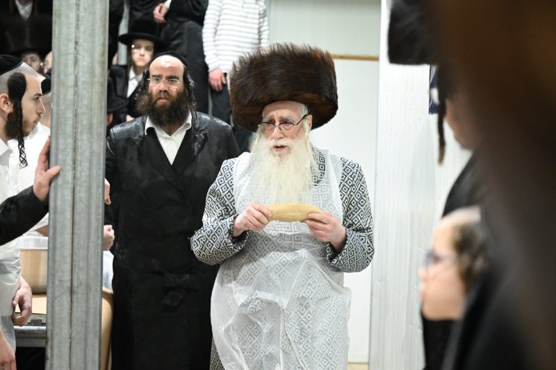 משה גולדשטיין