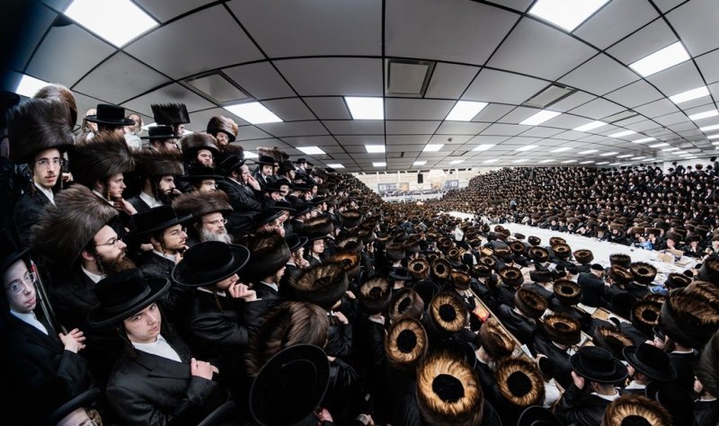 י. שטיין