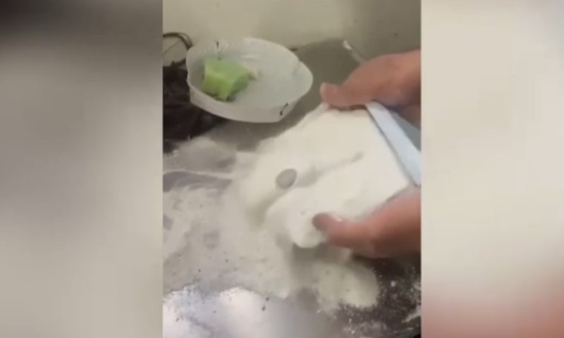 צפו: זה מה שגילו הסוהרים בתוך אבקת הכביסה