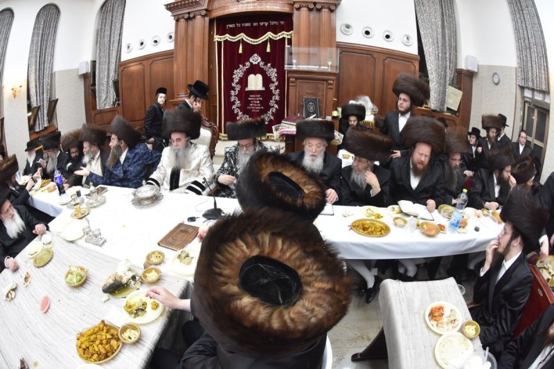 יהודה פרקוביץ