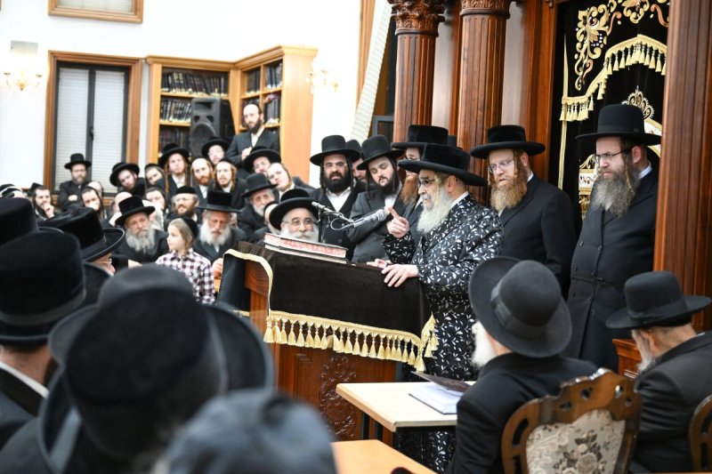 משה גולדשטיין