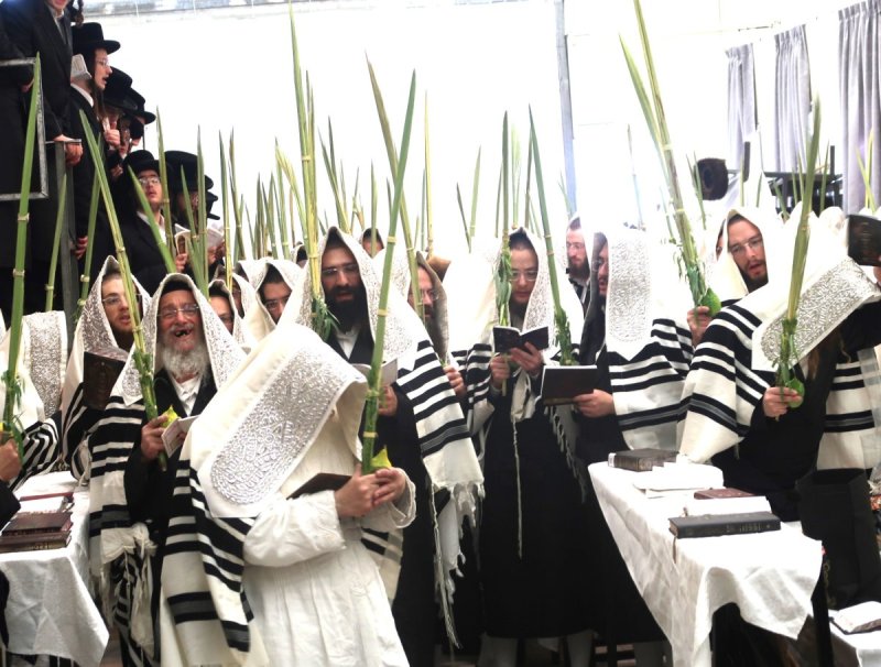 דוד ארזני וארי קופרשטוק