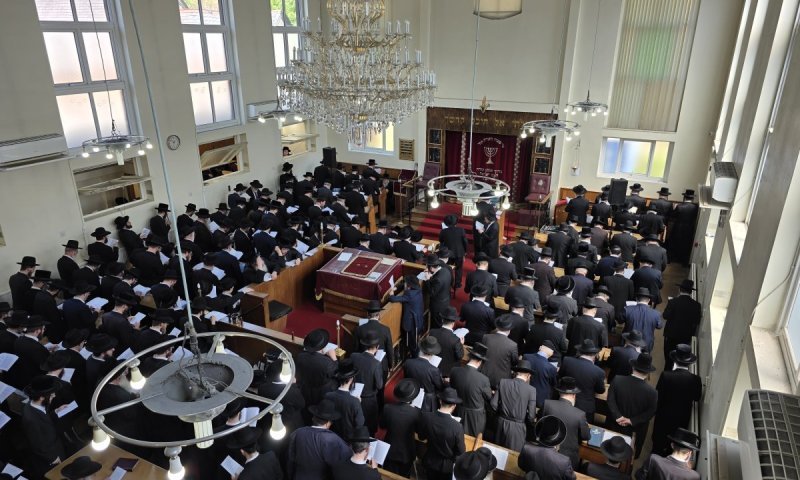 עצרת ענק במנצ'סטר: נמשכות התפילות לרפואת האדמו"ר מהורדנקא