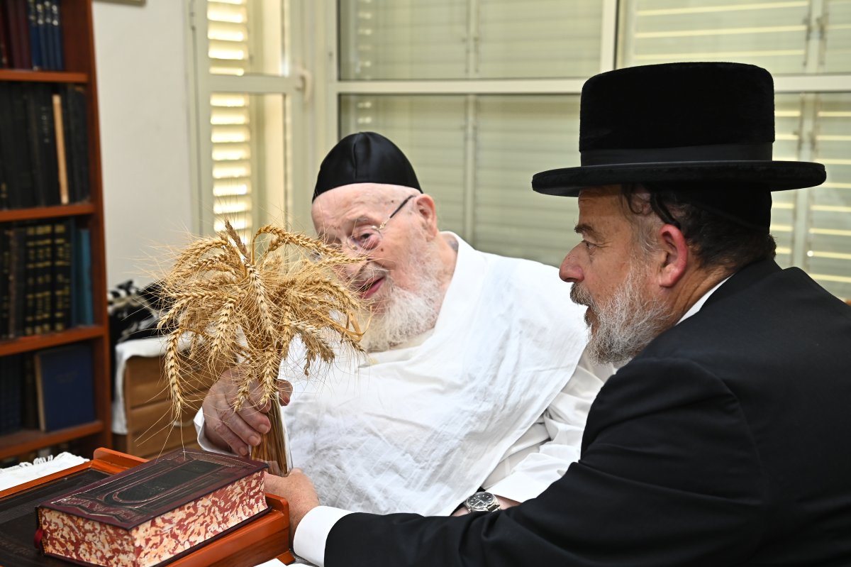 שוקי לרר