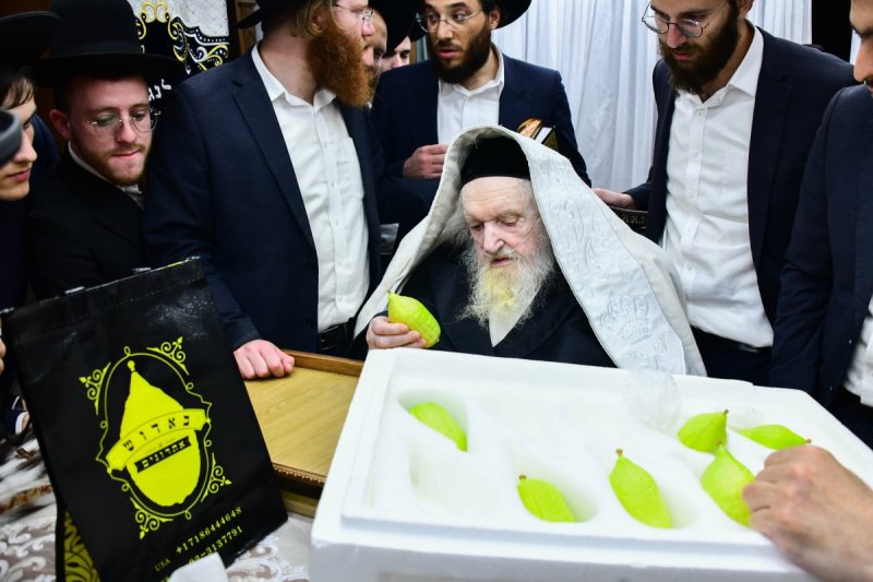 שוקי לרר