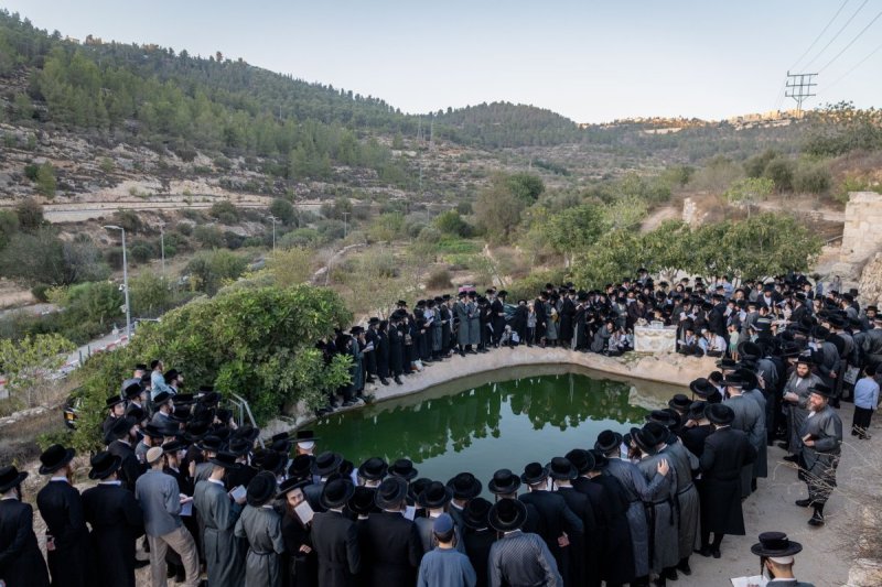 חיים גולדברג - פלאש 90