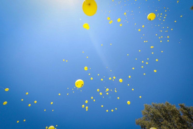 דניאל נפוסי