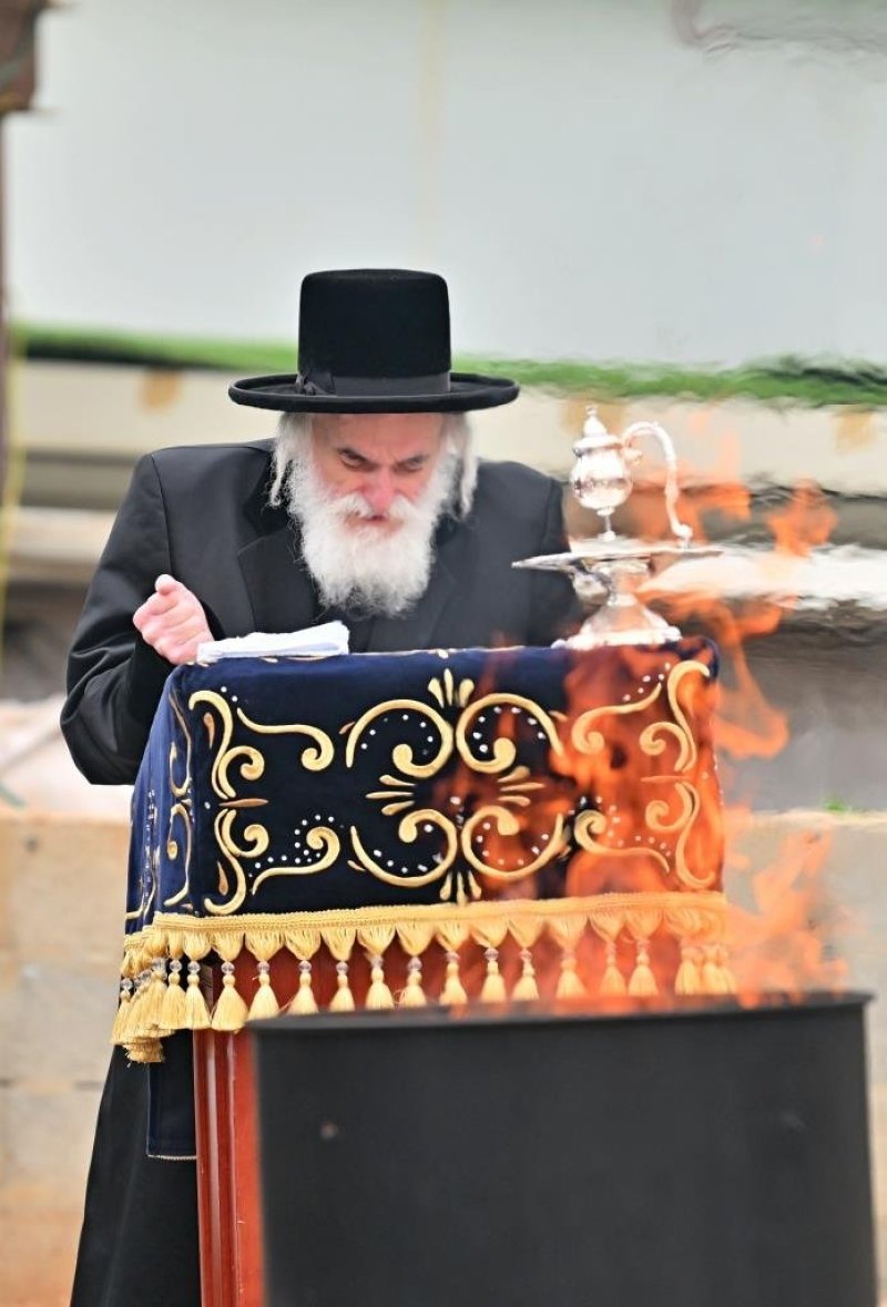 יהושע פרוכטר