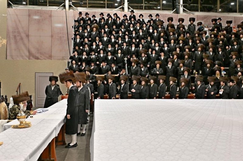 יהושע פרוכטר