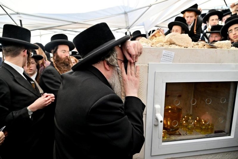 יהושע פרוכטר