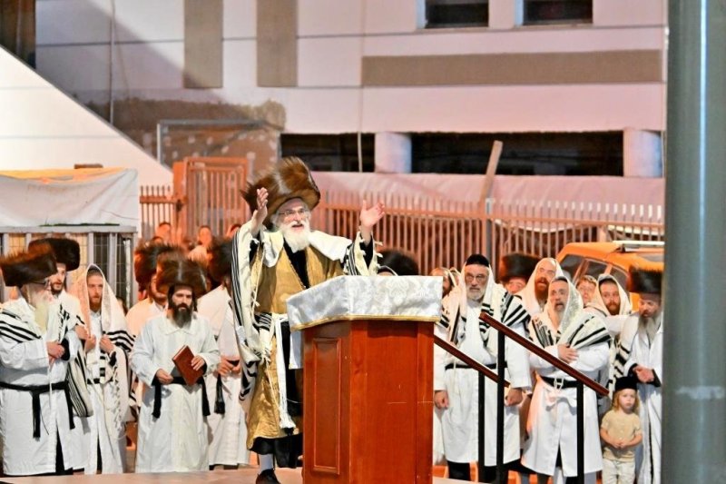 יהושע פרוכטר