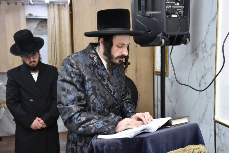 יהודה פרקוביץ