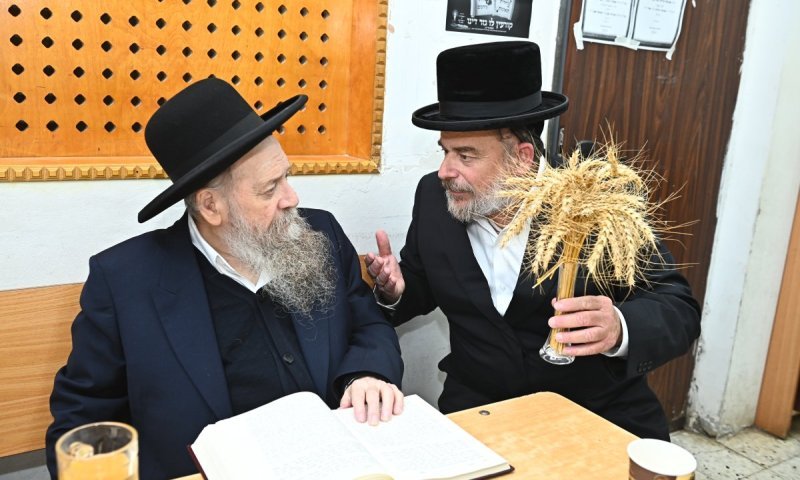 שיבולי הזהב במעונות הקודש: גדולי ישראל קיבלו את קציר החיטים הראשון