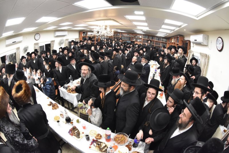 יהודה פרקוביץ