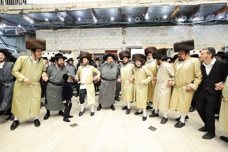 שלומי טריכטר