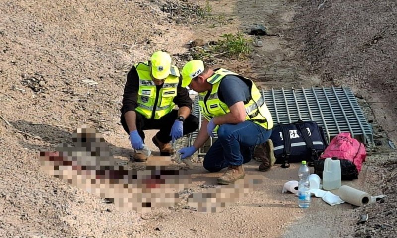 לאחר הפיגוע המשולב בצפון: צה"ל הודיע על הריסת ביתו של המחבל 