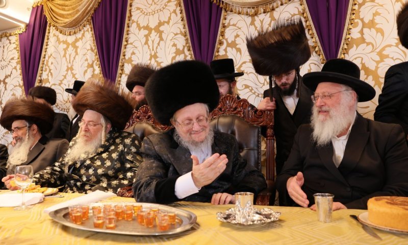 שמחה גדולה: חתונת בת הזקונים של האדמו"ר מראדזין