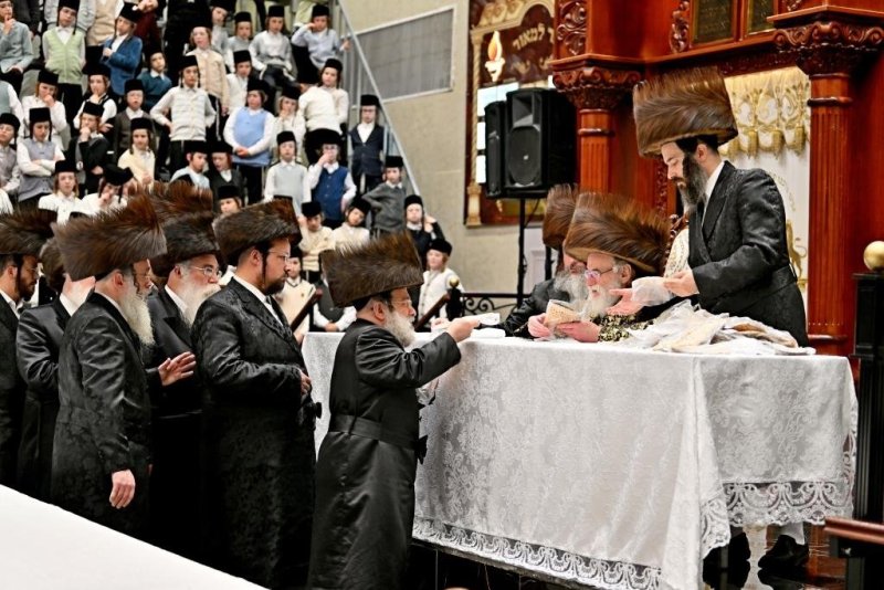 יהושע פרוכטר