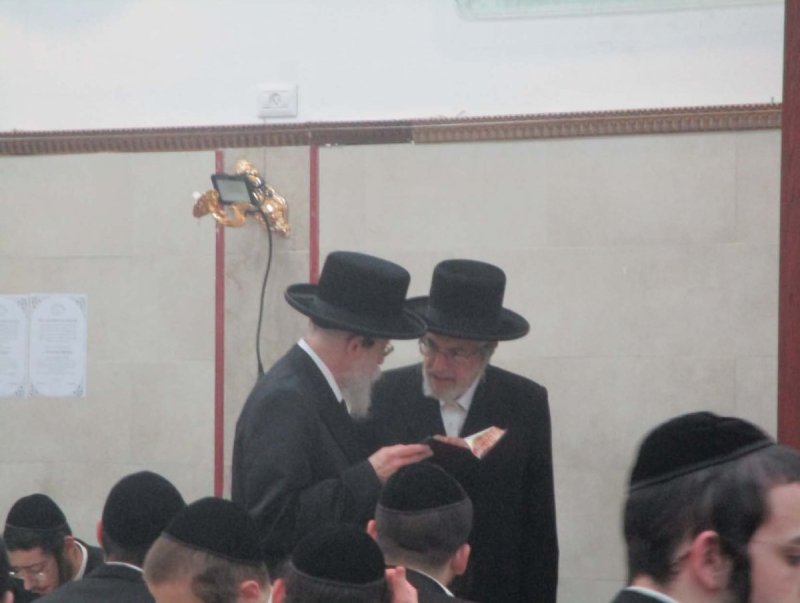 באדיבות המצלם